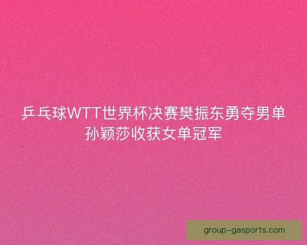 乒乓球WTT世界杯决赛樊振东勇夺男单孙颖莎收获女单冠军